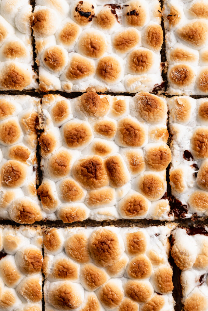 close-up overhead image of s'mores bars.