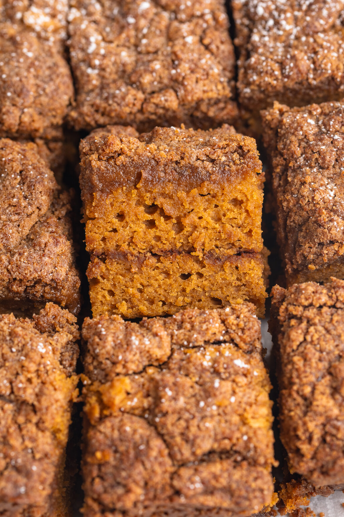 Gluten-Free Pumpkin Coffee Cake (vegan & refined sugar-free!) close-up image of gluten-free pumpkin coffee cake