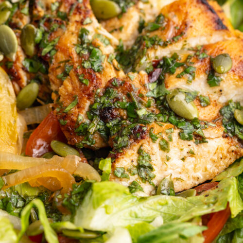 close up image of chicken in a chicken fajita salad.