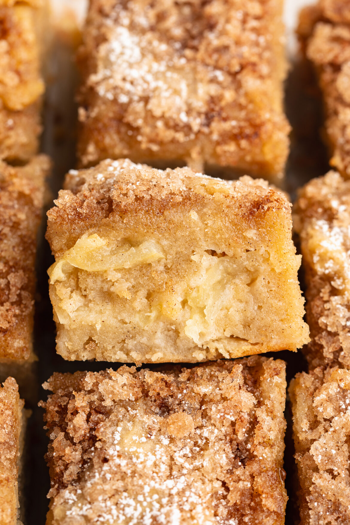 Gluten-Free Cinnamon Sugar Apple Cake