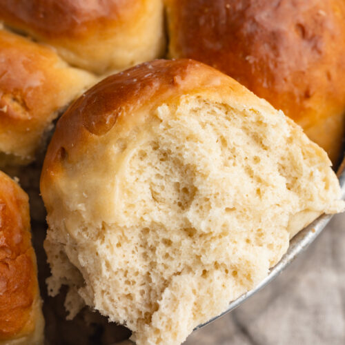 The inside of a gluten-free dinner roll in a pan.