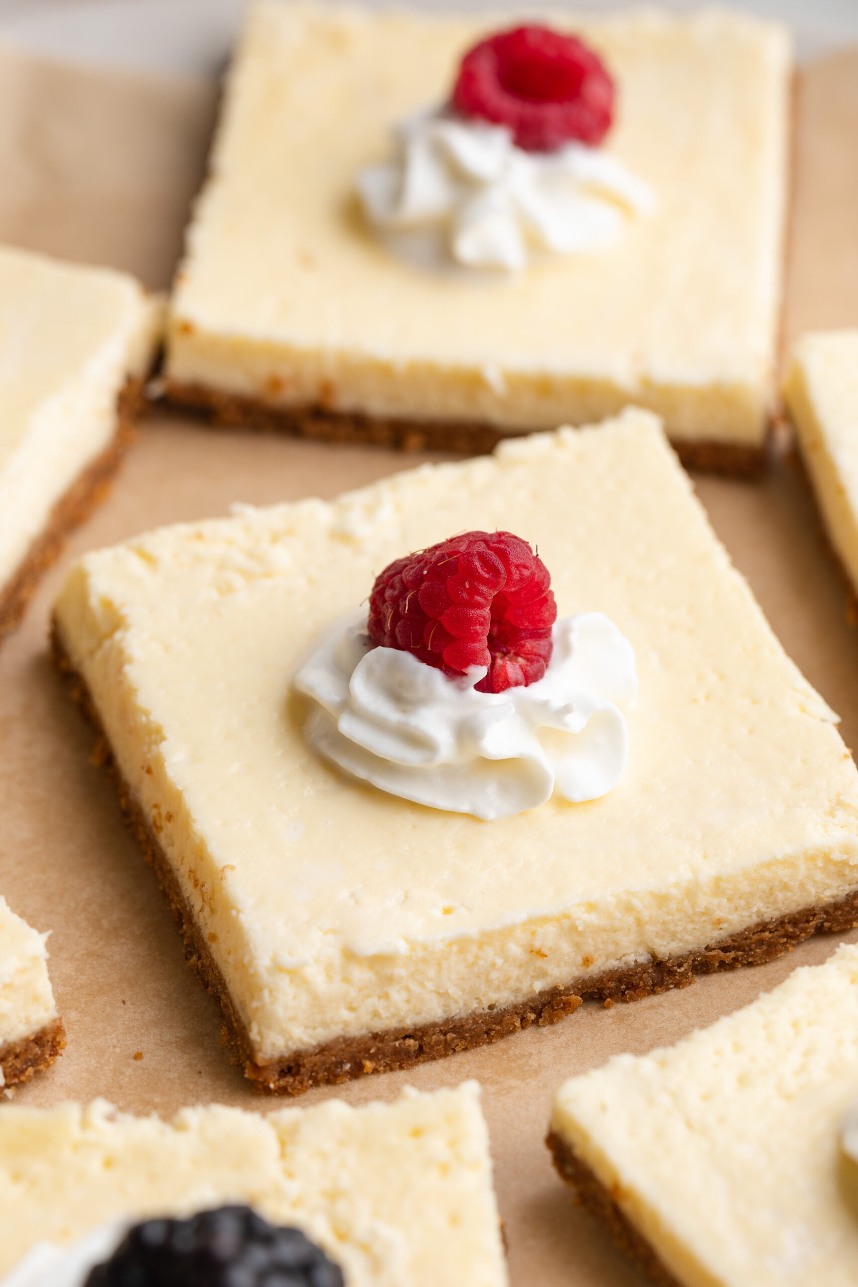 close up image of a cottage cheese cheesecake bar with whipped cream and a raspberry on top.